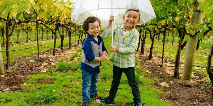 California Wine Country | I-5 Exit Guide California Wine Country | I-5 Exit Guide