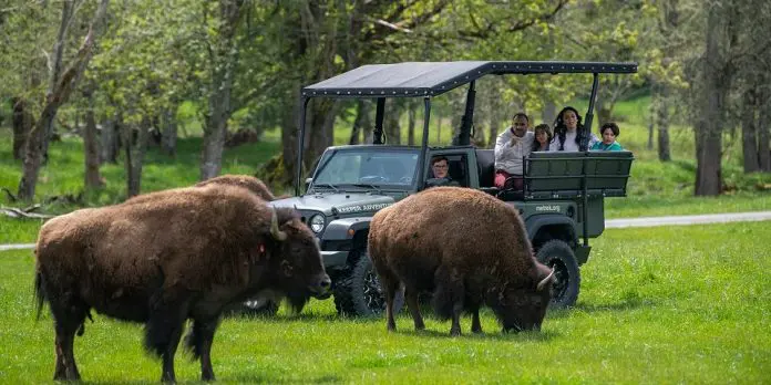 Trek Keeper Adventure Tour | Mt. Rainier | Washington | I-5 Exit Guide Trek Keeper Adventure Tour | Mt. Rainier | Washington | I-5 Exit Guide
