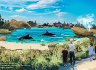 SeaWorld Announces First-Of-Its-Kind Killer Whale Environment And More SeaWorld Expansion | I-5 Exit Guide