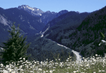 Mountains to Sound Greenway Mountains to Sound Greenway | I-5 Exit Guide