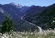 Mountains to Sound Greenway Mountains to Sound Greenway | I-5 Exit Guide