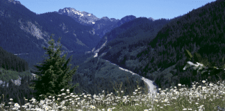 Mountains to Sound Greenway Mountains to Sound Greenway | I-5 Exit Guide