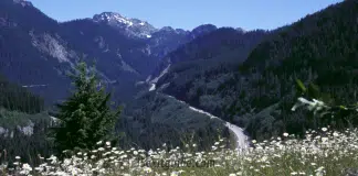 Mountains to Sound Greenway Mountains to Sound Greenway | I-5 Exit Guide