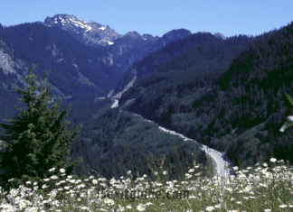 Mountains to Sound Greenway Mountains to Sound Greenway | I-5 Exit Guide