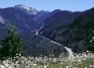 Mountains to Sound Greenway Mountains to Sound Greenway | I-5 Exit Guide