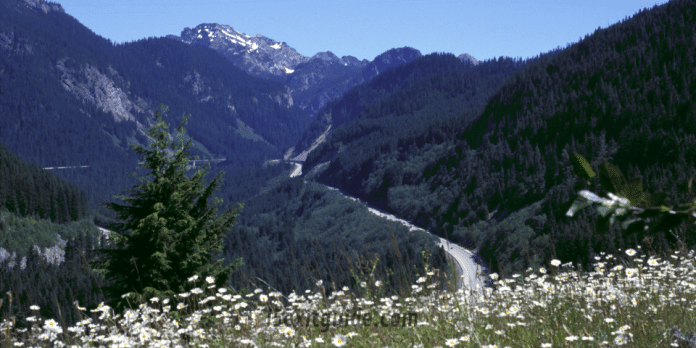 Mountains to Sound Greenway | I-5 Exit Guide