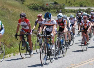 Spring Into Monterey County For Outdoor Fun By Land, Sea And Air Monterey, California | I-5 Exit Guide