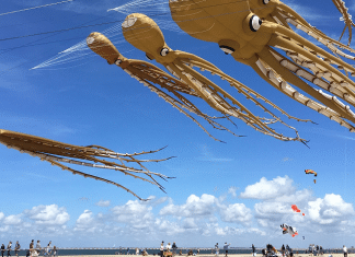 Looking for Unique? Take a Fun and Funky MorroBaycation Morrow Bay Kite Festival | I-5 Exit Guide