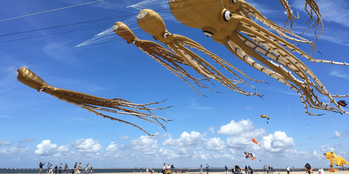 Morrow Bay Kite Festival | I-5 Exit Guide