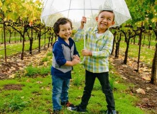 California’s ‘Family-Friendly’ Wineries Welcome Kids to Wine Country California Wine Country | I-5 Exit Guide
