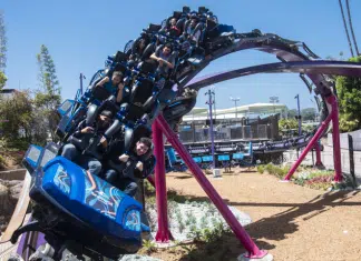 SeaWorld, Busch Gardens Offer Free Admission for U.S. Military Veterans and their Families Seaworld | I-5 Exit Guide