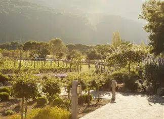 Discover the Perfect Fall Getaway in Monterey County Monterey County | I-5 Exit Guide