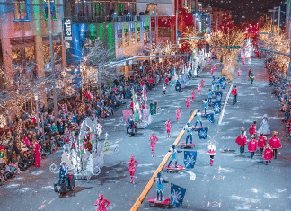 The Top 10 Reasons to Visit Bellevue’s Snowflake Lane Snowflake Lane | I-5 Exit Guide
