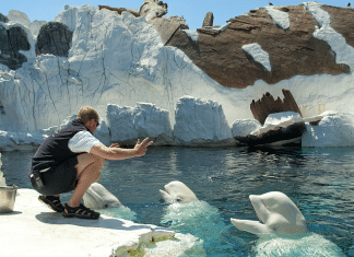 All SeaWorld Parks Now Open and Operating with Enhanced Safety Measures for the 2021 Season Seaworld | I-5 Exit Guide