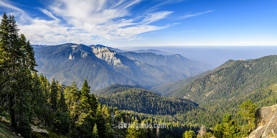 Sequoia National Park | I-5 Exit Guide