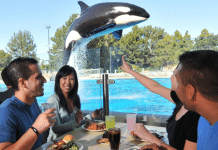 SeaWorld Parks Announce Coast-to-Coast Summer Entertainment Across Orlando, San Diego, and San Antonio Seaworld San Diego | I-5 Exit Guide