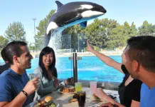 SeaWorld Parks Announce Coast-to-Coast Summer Entertainment Across Orlando, San Diego, and San Antonio Seaworld San Diego | I-5 Exit Guide