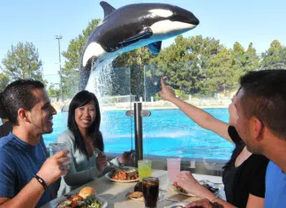 SeaWorld San Diego Introduces Zoo Days: Bayside BBQ & Brews Seaworld San Diego | I-5 Exit Guide