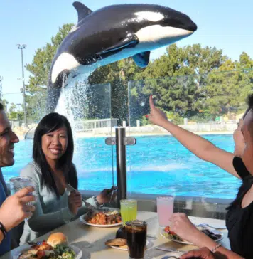 SeaWorld Parks Announce Coast-to-Coast Summer Entertainment Across Orlando, San Diego, and San Antonio Seaworld San Diego | I-5 Exit Guide