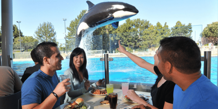 Seaworld San Diego | I-5 Exit Guide