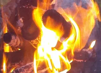 Gold Beach RV Park – Gold Beach, OR Gold Beach RV Park – Gold Beach, OR