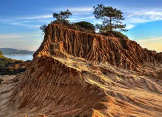 Experience California Concentrated in San Diego Discover San Diego | I-5 Exit Guide