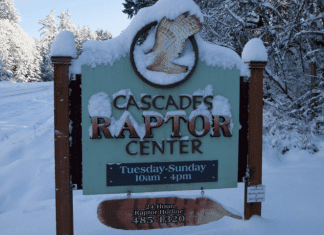Cascades Raptor Center – Eugene, Oregon Cascades Raptor Center | I-5 Exit Guide
