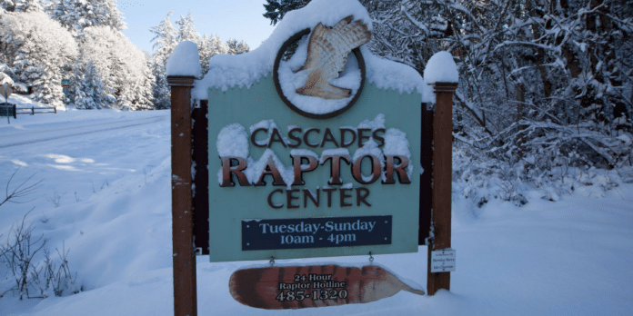 Cascades Raptor Center | I-5 Exit Guide