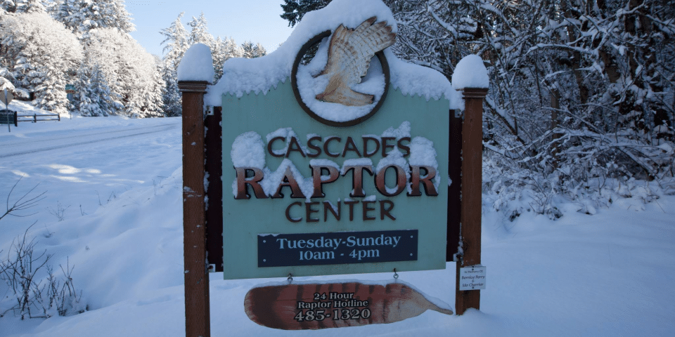 Cascades Raptor Center | I-5 Exit Guide