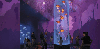 SeaWorld to Open Exciting Rides and Experiences in Every Park in 2024 Seaworld San Diego - Jellyfish Experience | I-5 Exit Guide