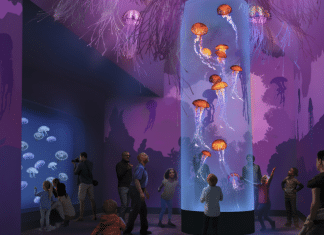 SeaWorld to Open Exciting Rides and Experiences in Every Park in 2024 Seaworld San Diego - Jellyfish Experience | I-5 Exit Guide