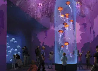 SeaWorld to Open Exciting Rides and Experiences in Every Park in 2024 Seaworld San Diego - Jellyfish Experience | I-5 Exit Guide