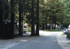 Cotillion Gardens RV Park – Felton, California cotillion-gardens-rv-park-–-felton,-ca