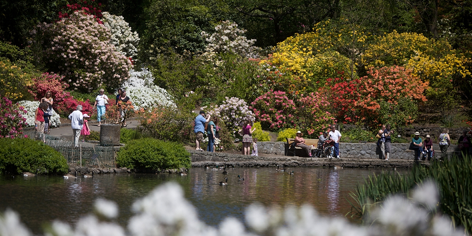 Crystal Springs Rhododendron Garden | Photo Credit: Travel Portland