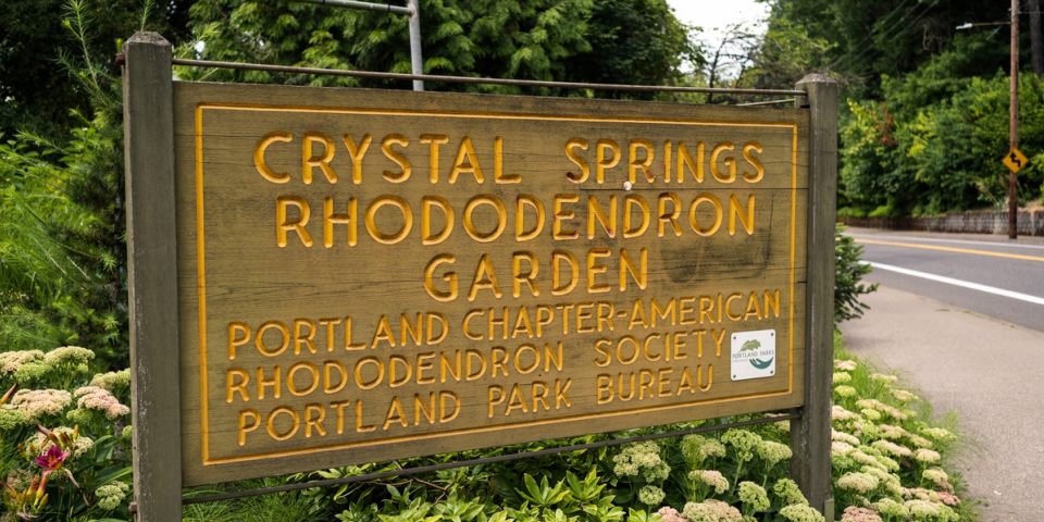 Crystal Springs Rhododendron Garden | Photo Credit: Justin Katigbak, Travel Portland