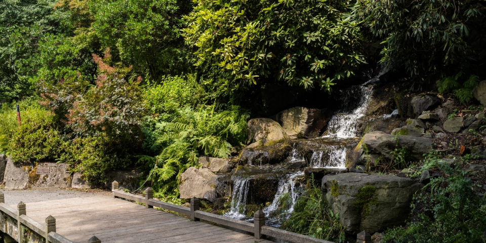 Crystal Springs Rhododendron Garden | Photo Credit: Justin Katigbak, Travel Portland