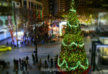 Seattle Shines Bright for the Holidays Marquee Celebrations and Timeless Traditions Seattle, Washington | I-5 Exit Guide