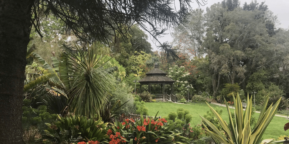 San Diego Botanical Garden | I-5 Exit Guide
