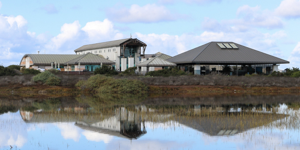 Living Coast Discovery Center | I-5 Exit Guide