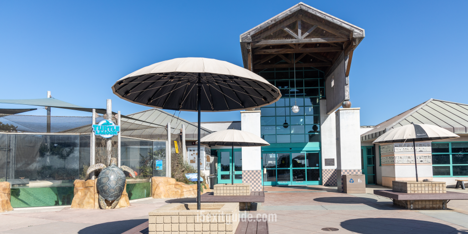 Living Coast Discovery Center | I-5 Exit Guide