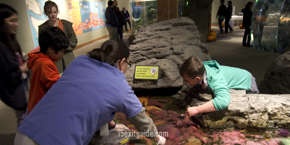 Seattle Aquarium | I-5 Exit Guide