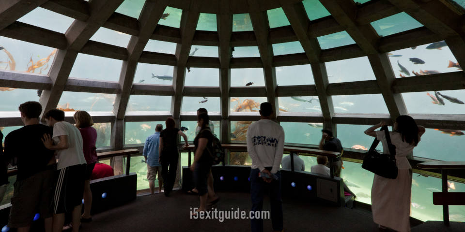 Seattle Aquarium | I-5 Exit Guide