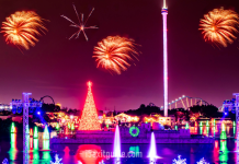 SeaWorld Parks Light Up the Season with Dazzling Displays, New Holiday Entertainment Seaworld | I-5 Exit Guide