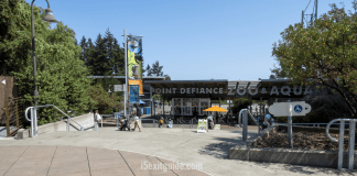Point Defiance Zoo & Aquarium – Tacoma, Washington Point Defiance Zoo & Aquarium | I-5 Exit Guide