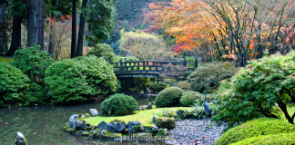 Portland Japanese Garden – Portland, Oregon Portland Japanese Garden | I-5 Exit Guide