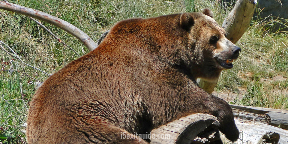 Woodland Park Zoo - Seattle, Washington | I-5 Exit Guide