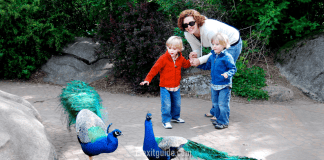 Woodland Park Zoo – Seattle, Washington Woodland Park Zoo - Seattle, Washington | I-5 Exit Guide