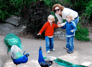 Woodland Park Zoo – Seattle, Washington Woodland Park Zoo - Seattle, Washington | I-5 Exit Guide