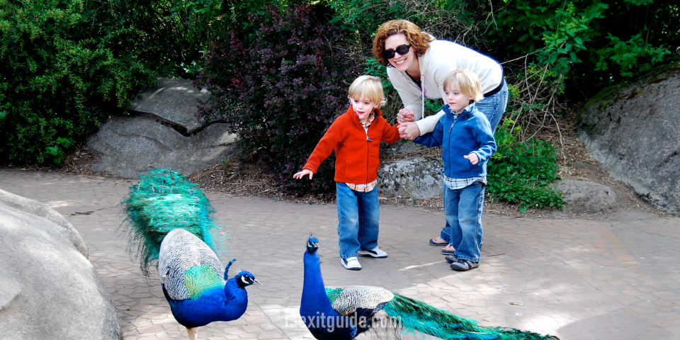 Woodland Park Zoo - Seattle, Washington | I-5 Exit Guide